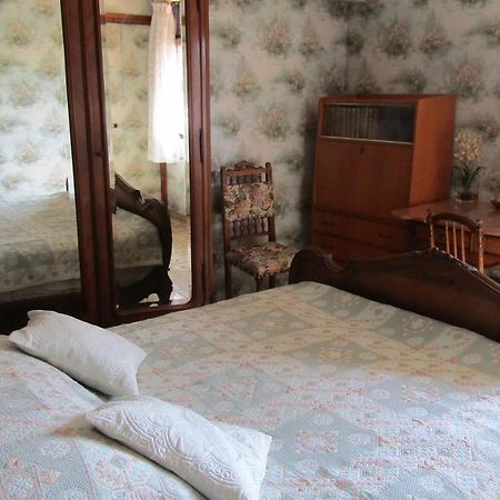 Chambre Salle De Bains Privee Jardin Arbore 몽펠리에 외부 사진