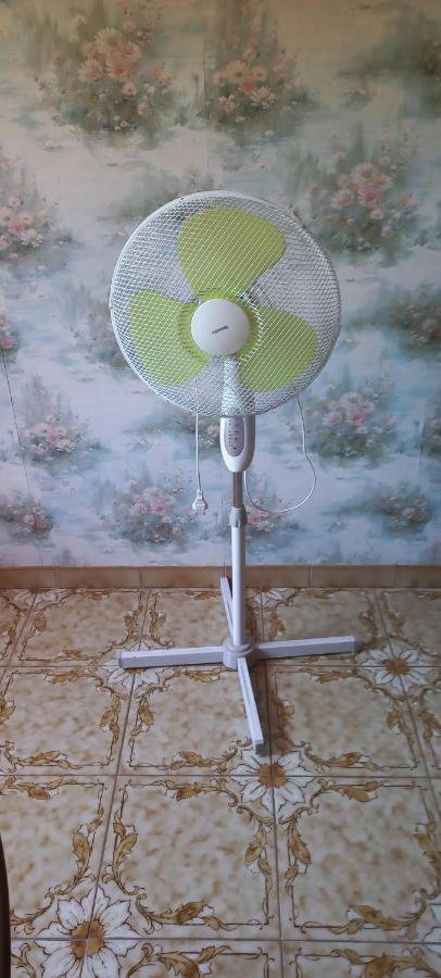 Chambre Salle De Bains Privee Jardin Arbore 몽펠리에 외부 사진